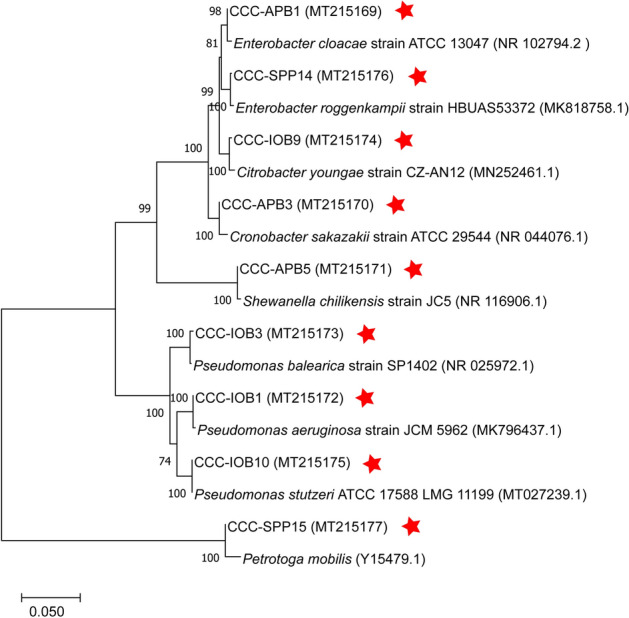 Figure 2