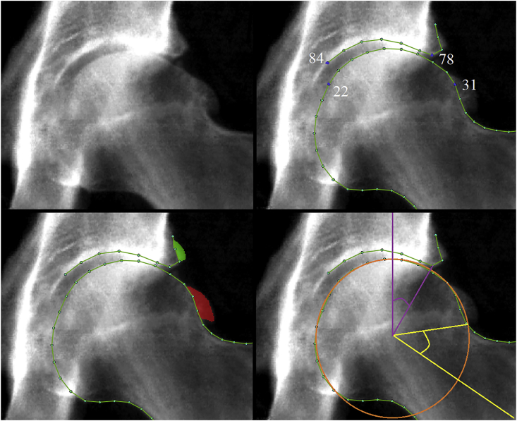 Fig. 1