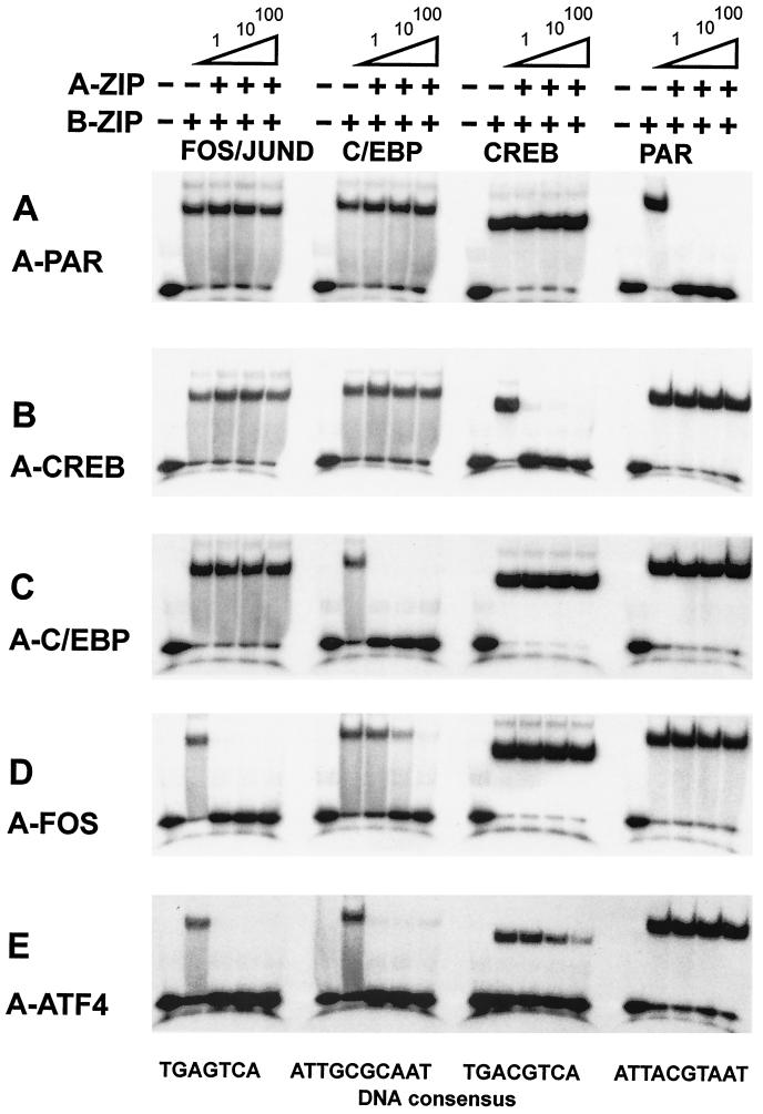 FIG. 7.