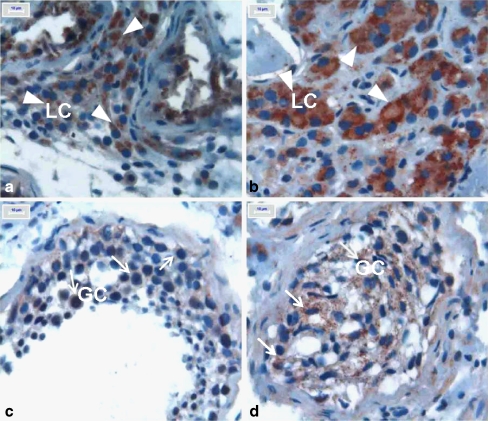 Fig. 2