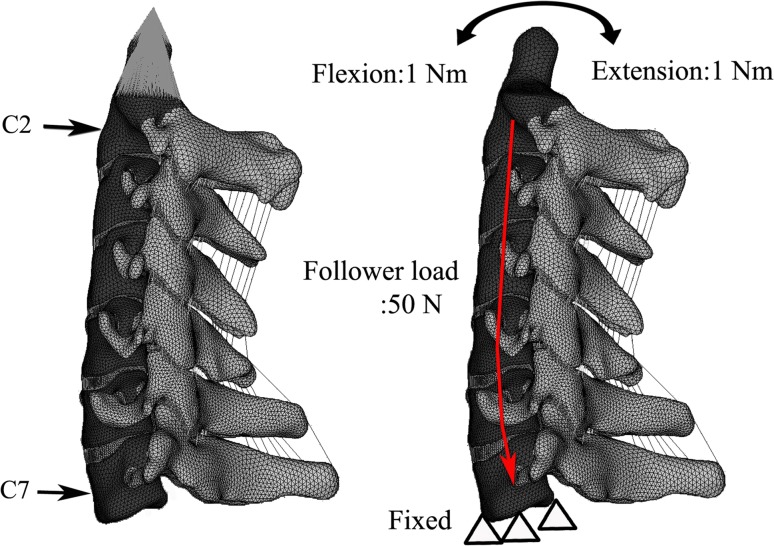 Fig. 2