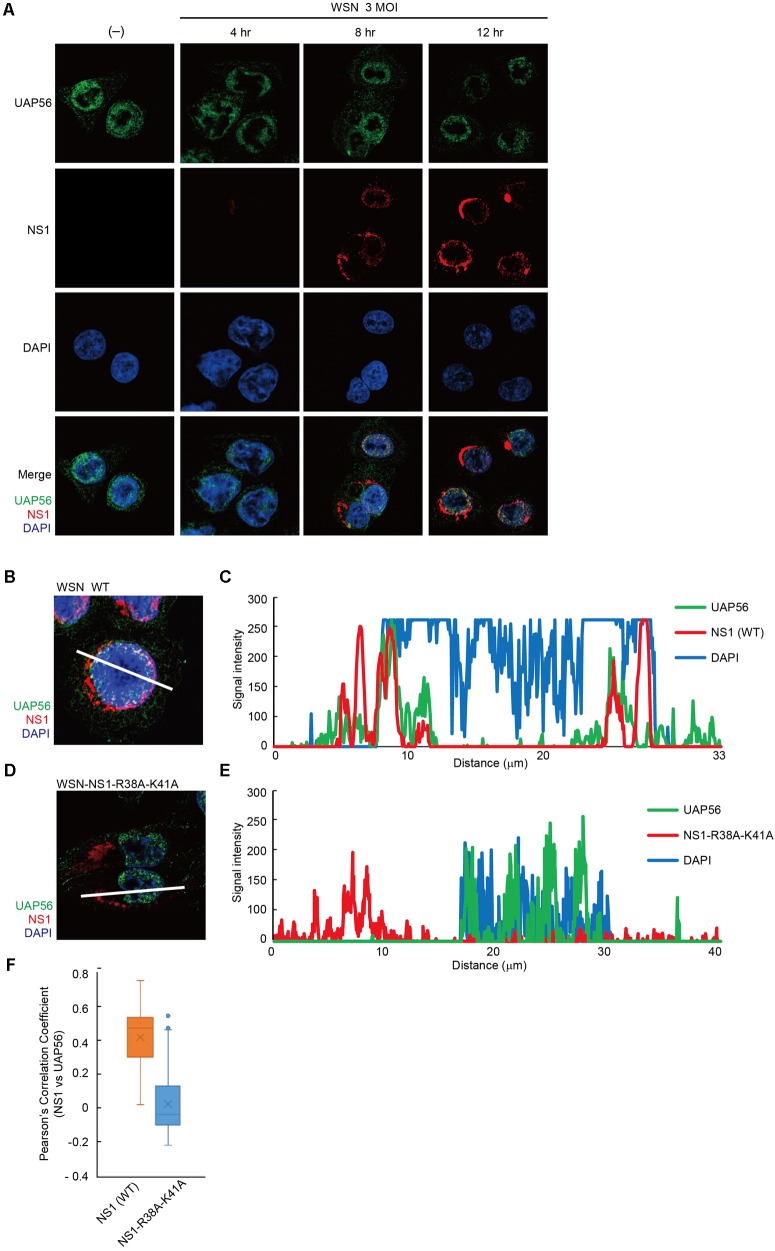 FIGURE 4