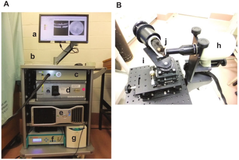 Figure 1: