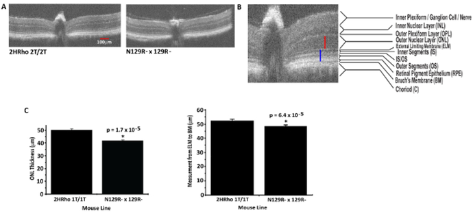 Figure 3: