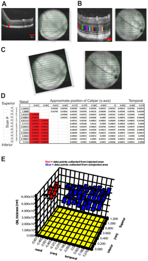 Figure 5: