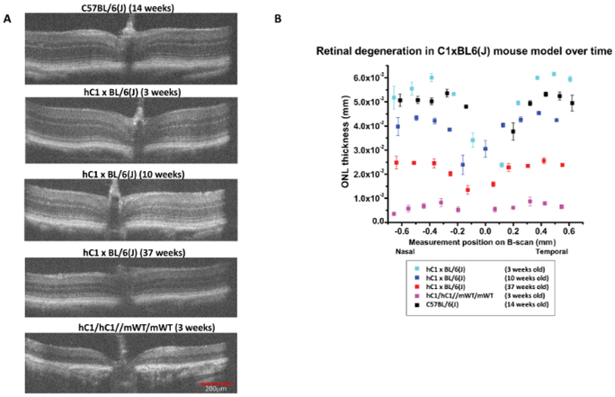 Figure 2: