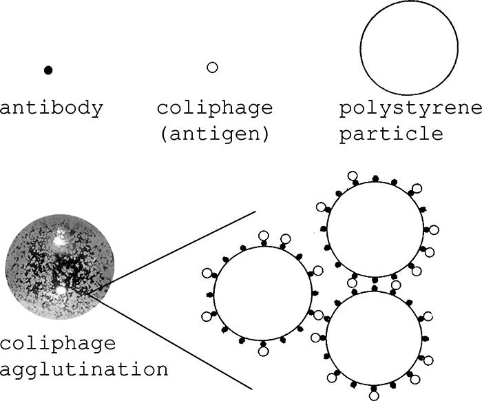 FIG. 1.