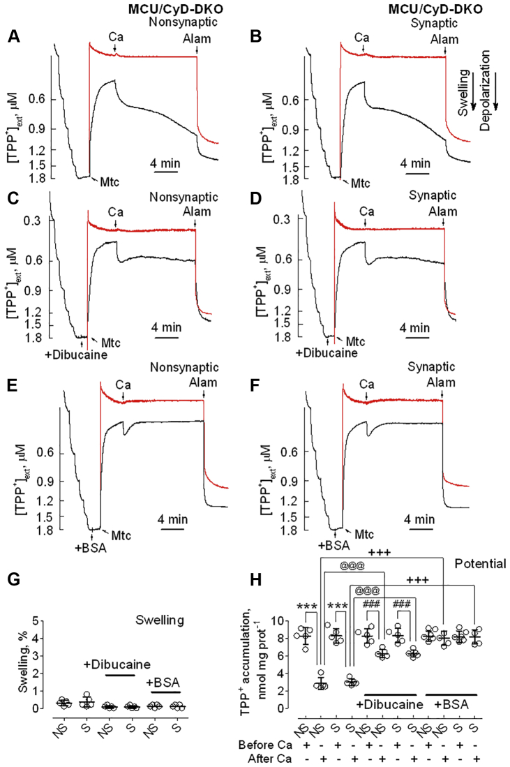 Figure 7