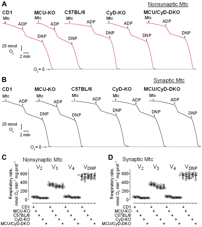 Figure 3