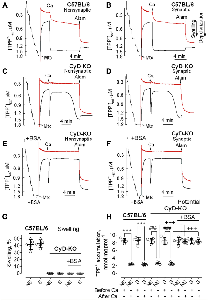 Figure 6