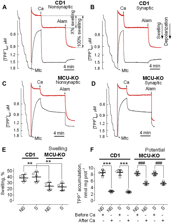 Figure 5