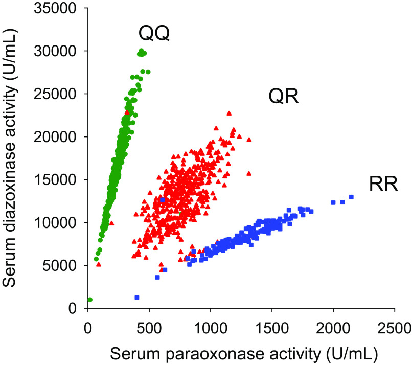 Figure 3 is a dot graph, plotting Serum diazoxonase activity (Units per milliliter), ranging from 0 to 35000 in increments of 5000 (y-axis) across Serum paraoxonase activity (Units per milliliter), ranging from 0 to 2500 in increments of 500 (x-axis) for uppercase q q, uppercase q r, and uppercase r r.