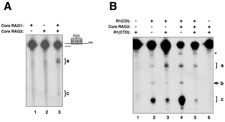 FIG. 6.