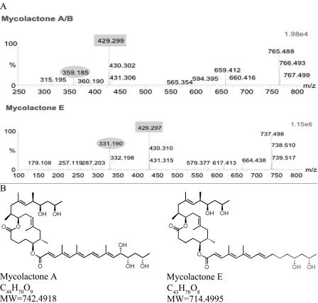 FIG. 3.