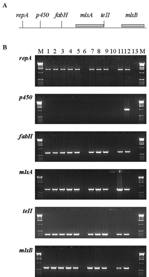 FIG. 1.