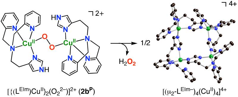 Scheme 5