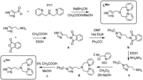 Scheme 2