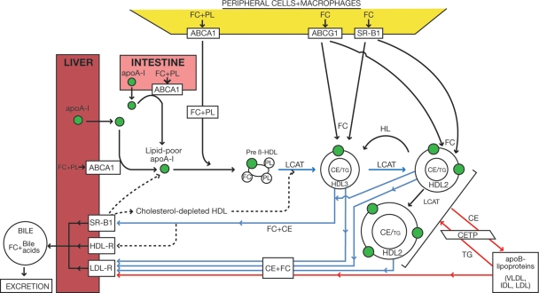 Figure 1