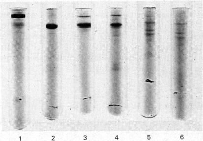 Fig. 9.