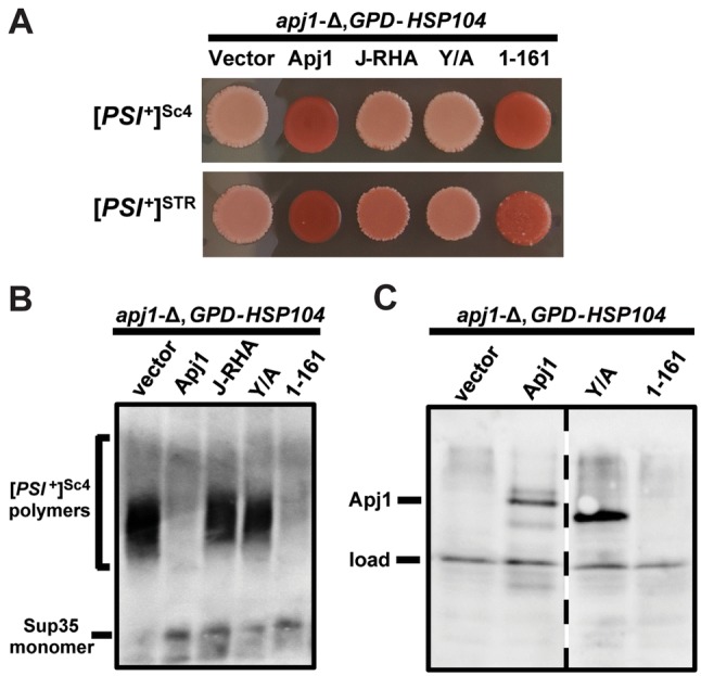 Fig. 3