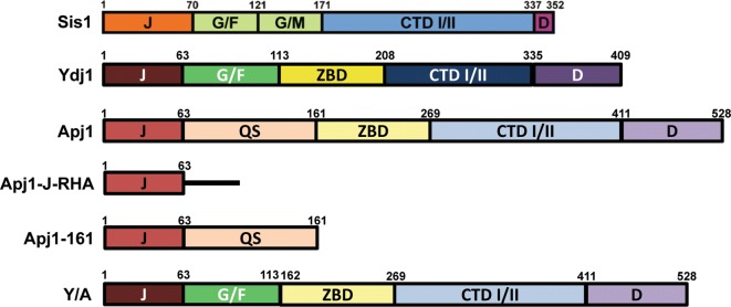 Fig. 2