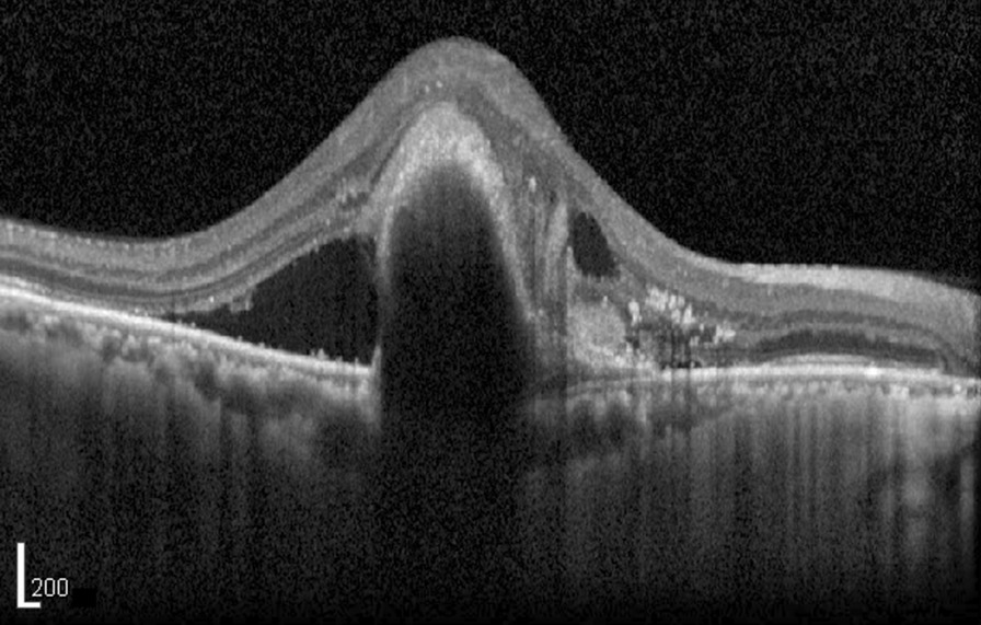 Fig. 8