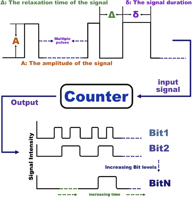 Figure 1