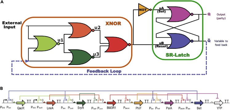 Figure 2