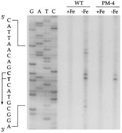 FIG. 5