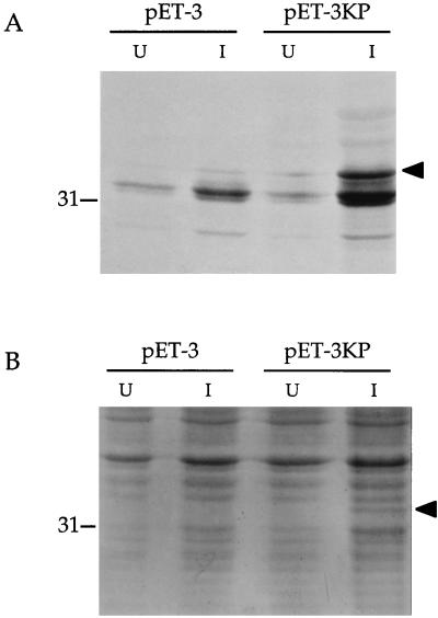 FIG. 6