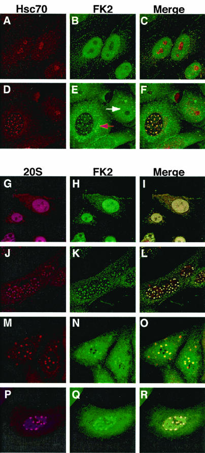 FIG. 6.