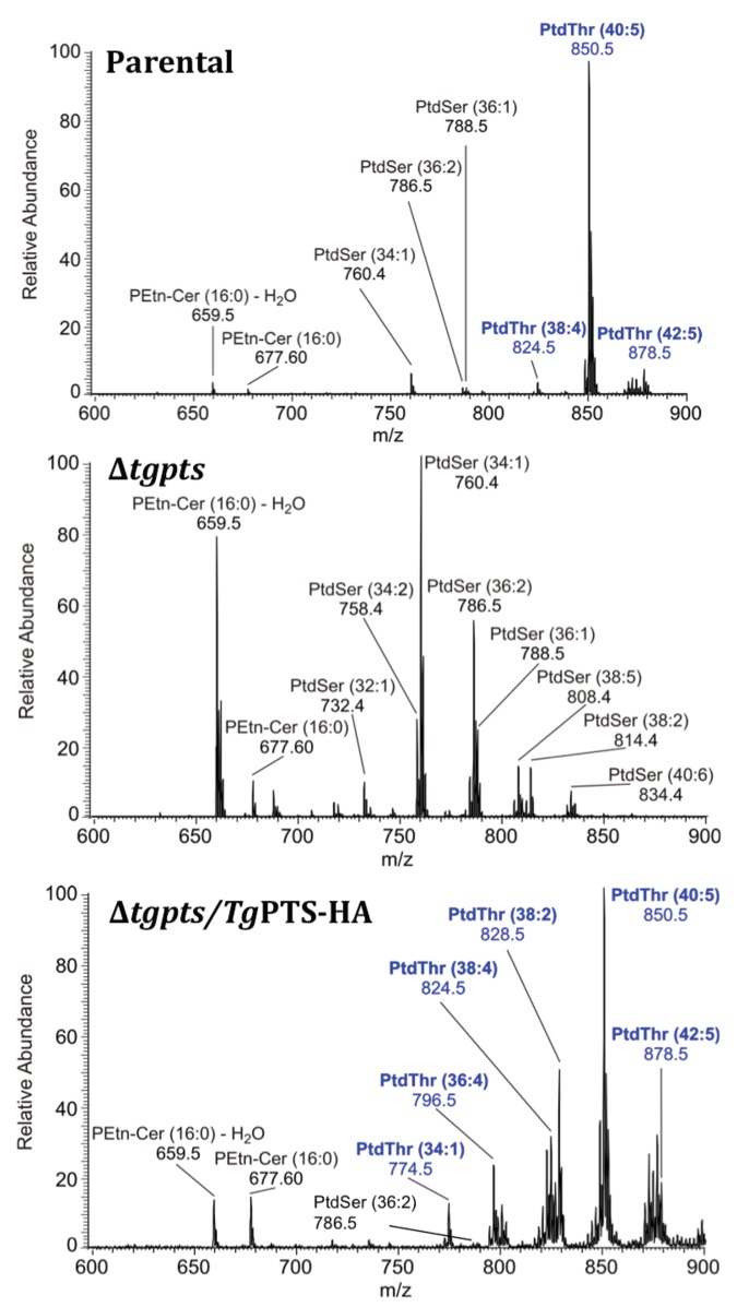 Fig 4