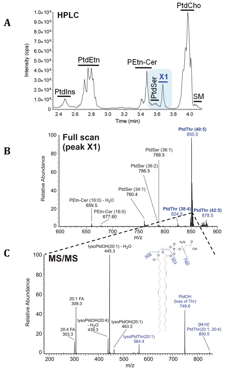 Fig 1