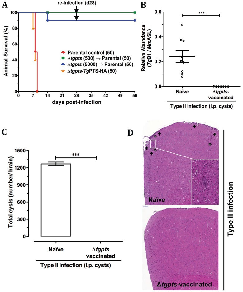 Fig 8