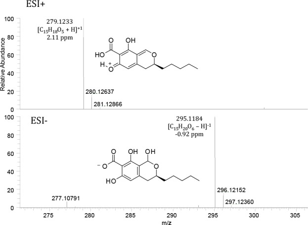 Fig. 9