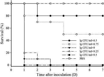 Fig. 2