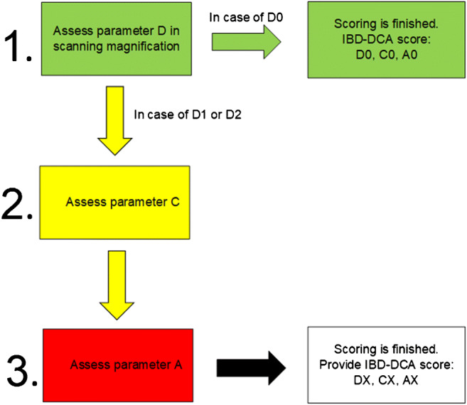 Maximizing the diagnostic information from biopsies in chronic ...