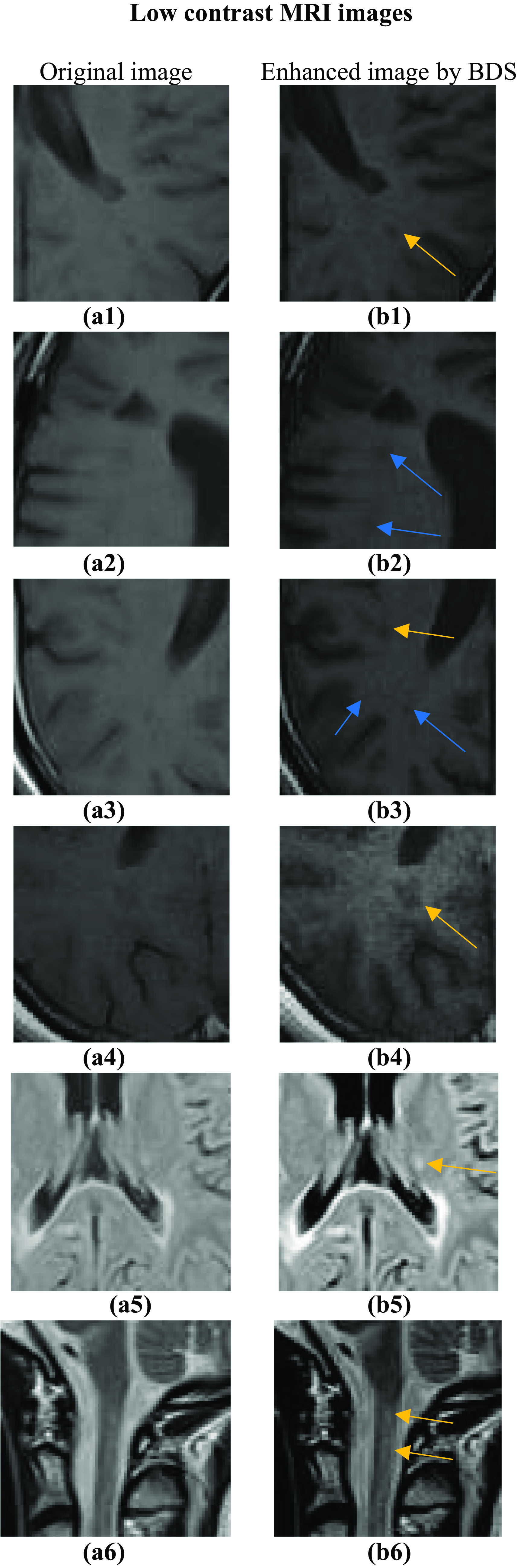 Fig. 8