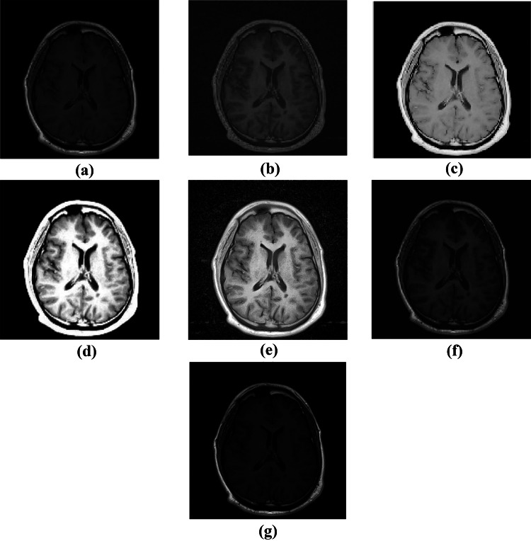 Fig. 6