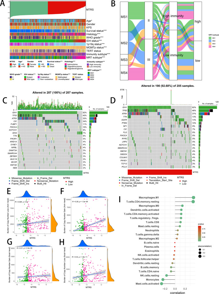 Integrative multi-omics analysis unveils the connection between ...