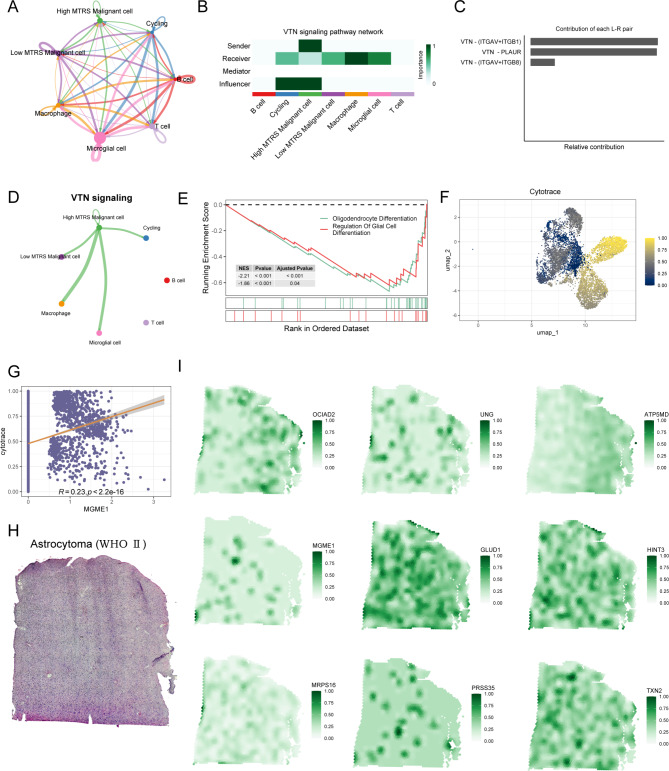 Integrative multi-omics analysis unveils the connection between ...