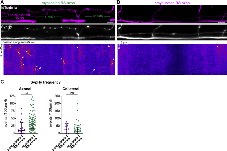 Figure 2