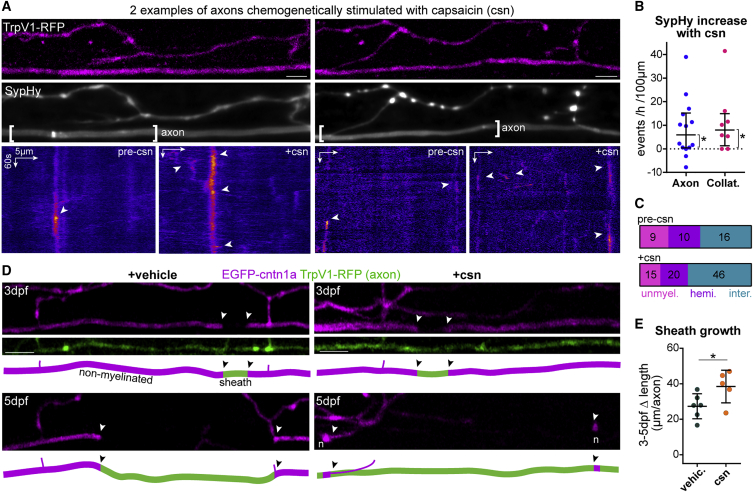 Figure 6