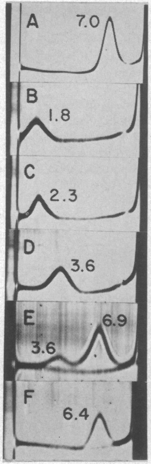 graphic file with name pnas00161-0170-a.jpg