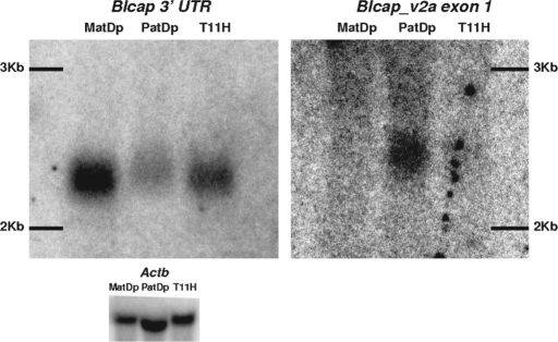 Figure 4.