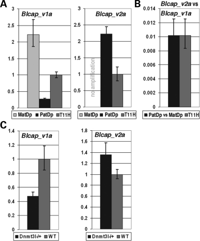 Figure 3.