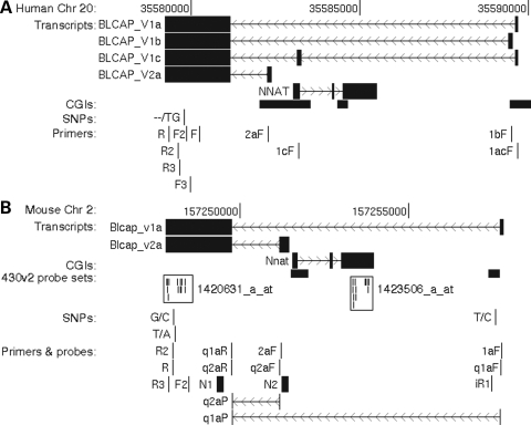 Figure 1.