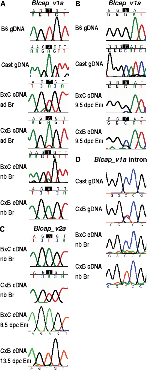 Figure 2.