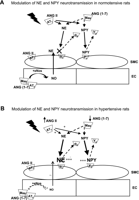 Fig. 8.