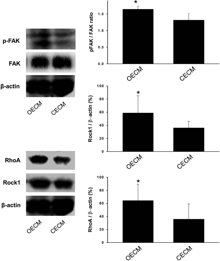 FIG. 8.